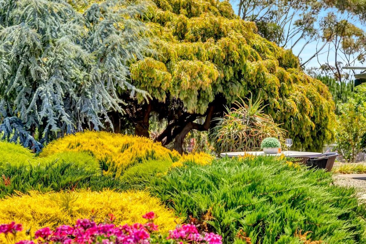 'Golden Homestead' A Panoramic Vineyard Escape Mclaren Vale Exterior foto